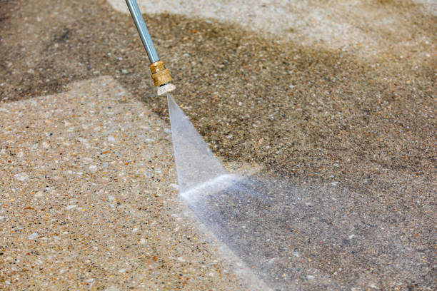 Best Winterizing Services  in Belle, WV