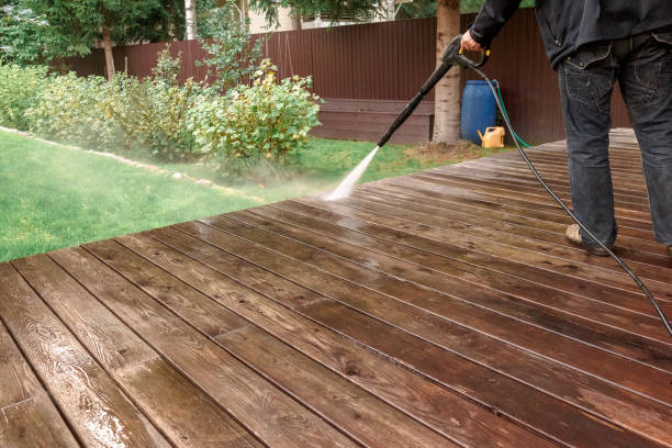 Best Pre-Holiday Cleaning  in Belle, WV