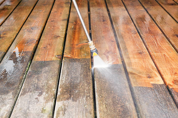 Animal Enclosure Cleaning in Belle, WV